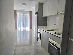 Affinity At Serangoon (D19), Apartment #620024361